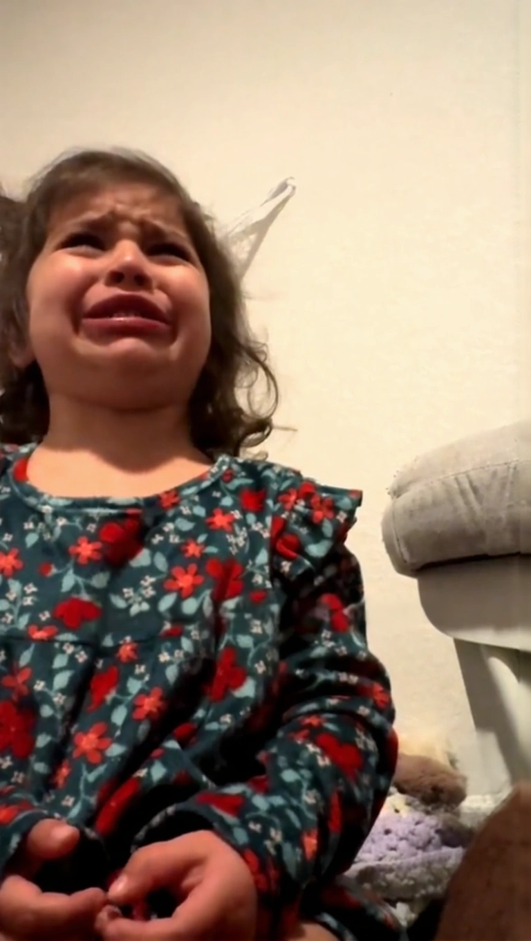 A plate of Chinese dumplings representing the toddler's favorite food.