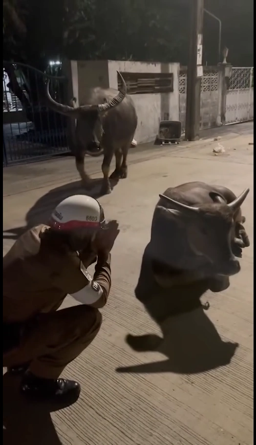 Thai police officer facing a charging herd of buffaloes during a routine patrol. ​Image Title: Police Officer Encountering Buffalo Herd