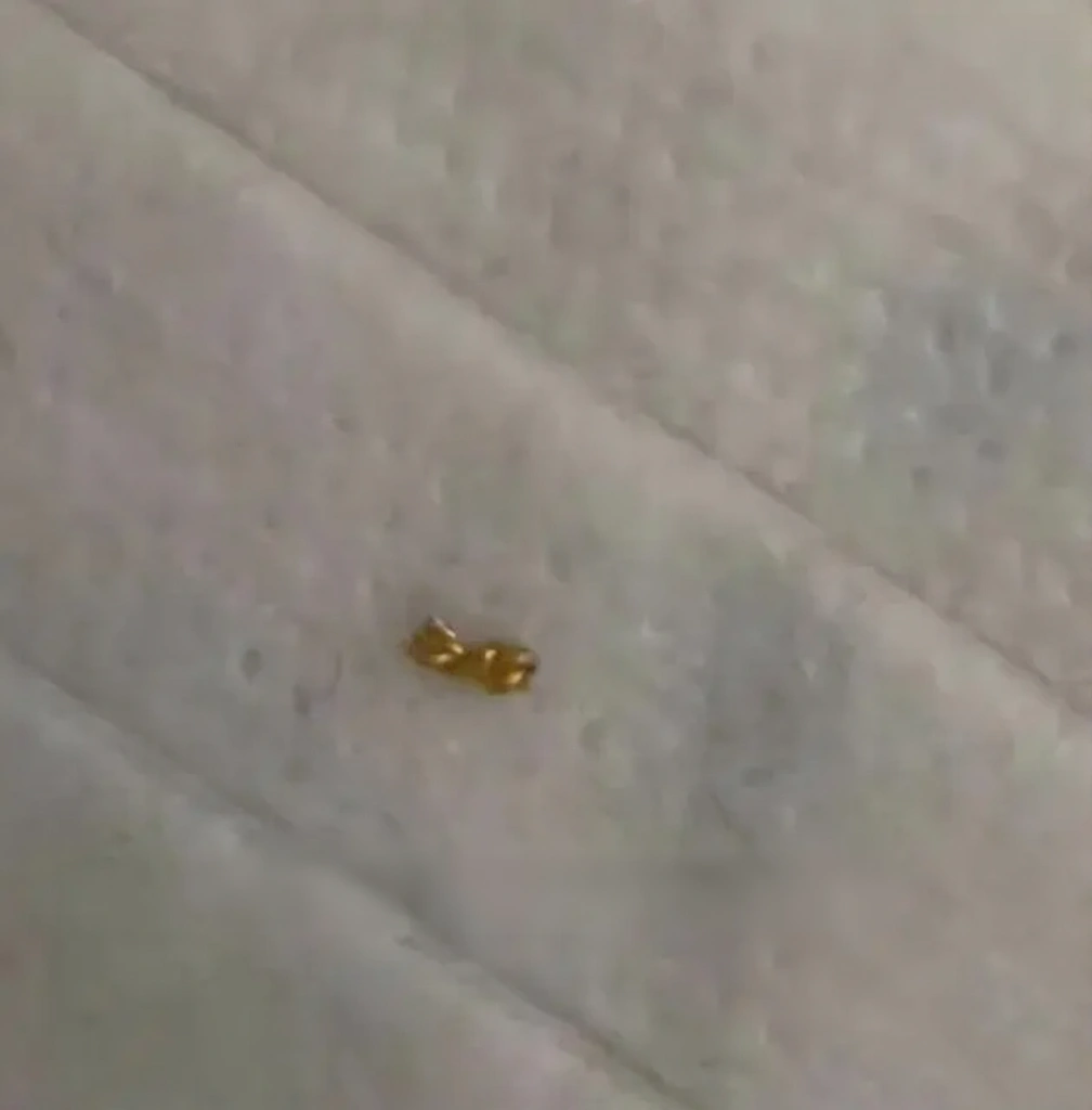 A close-up of a hand holding a gold chain that has been cut with scissors.