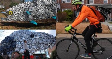 A long public fence decorated with dozens of recycled hubcaps creating a reflective art piece.